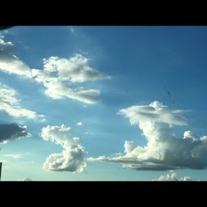 Meet your Posher, Tara